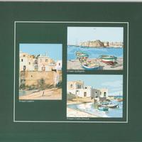 Cartellina Verde Bosco Litografie Aldo Riso 23x17