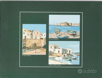 Cartellina Verde Bosco Litografie Aldo Riso 23x17