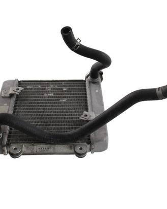 Radiatore acqua Honda Pantheon 4 tempi