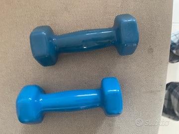 Pesi da palestra 1kg