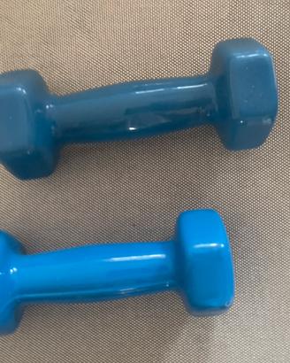 Pesi da palestra 1kg
