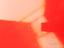 Immagine 9