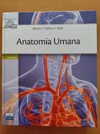 Anatomia umana
