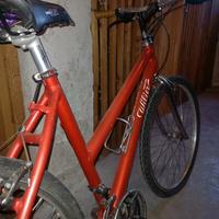 Mountain bike Wilier Triestina