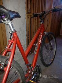 Mountain bike Wilier Triestina