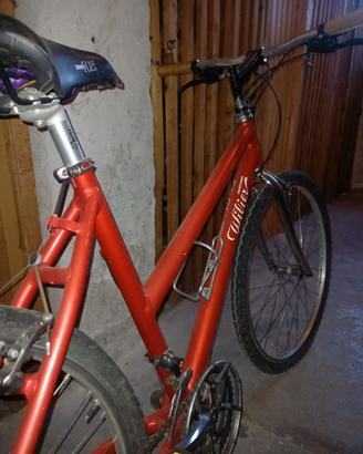 Mountain bike Wilier Triestina