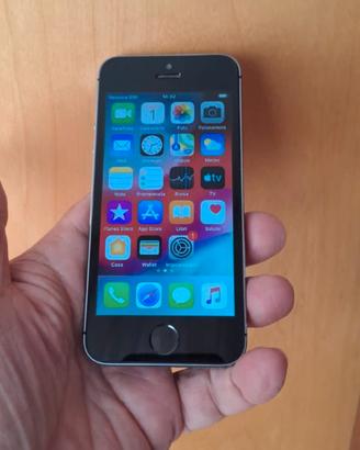 iPhone 5s
