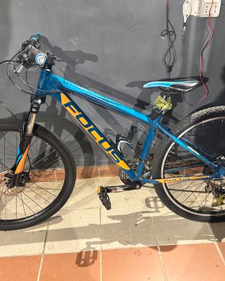mountan bike  focus
