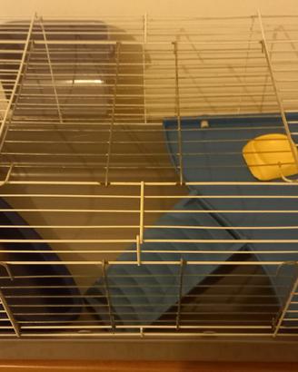 gabbia per coniglio