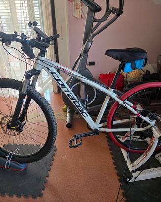 bicicletta mtb corratec 
