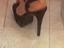 Immagine 4