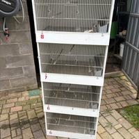 Gabbie allevamento uccellini