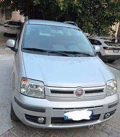 Fiat Panda 2° serie 1.2 Dynamic