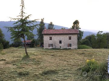 Casa, stalla e 140.000 metri di terreno