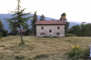 Casa, stalla e 140.000 metri di terreno