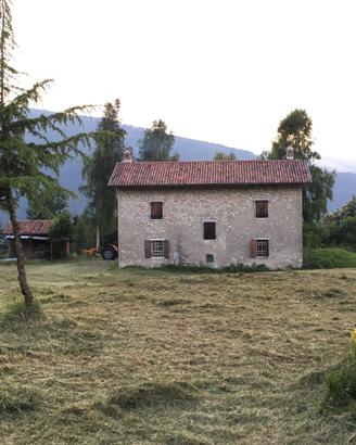 Casa, stalla e 140.000 metri di terreno