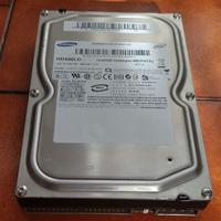 Hard Disk Ide Pata Samsung 400 GB Testato