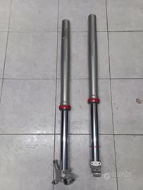 FORCELLE WP AER