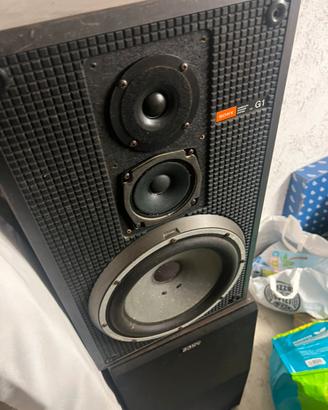 Casse Audio sony G1