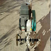 motozappa bertolini 202E