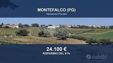 Immobile in asta di 46600 m² a Montefalco