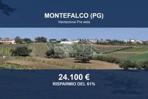 Immobile in asta di 46600 m² a Montefalco