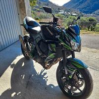Kawasaki z 750 del 2009