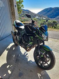 Kawasaki z 750 del 2009