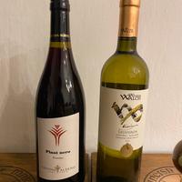 Vino Trentino - Alto Adige