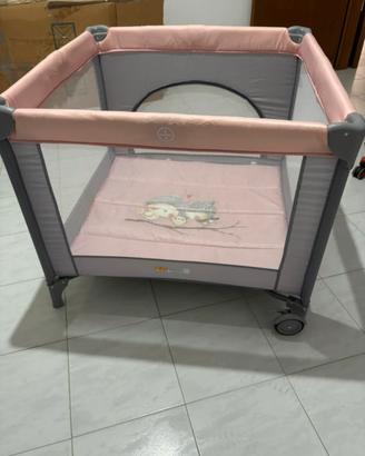 Box neonata