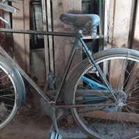 biciclette uomo e unisex