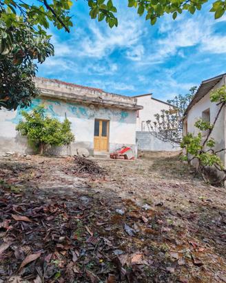 Indipendente con giardino e frutteto