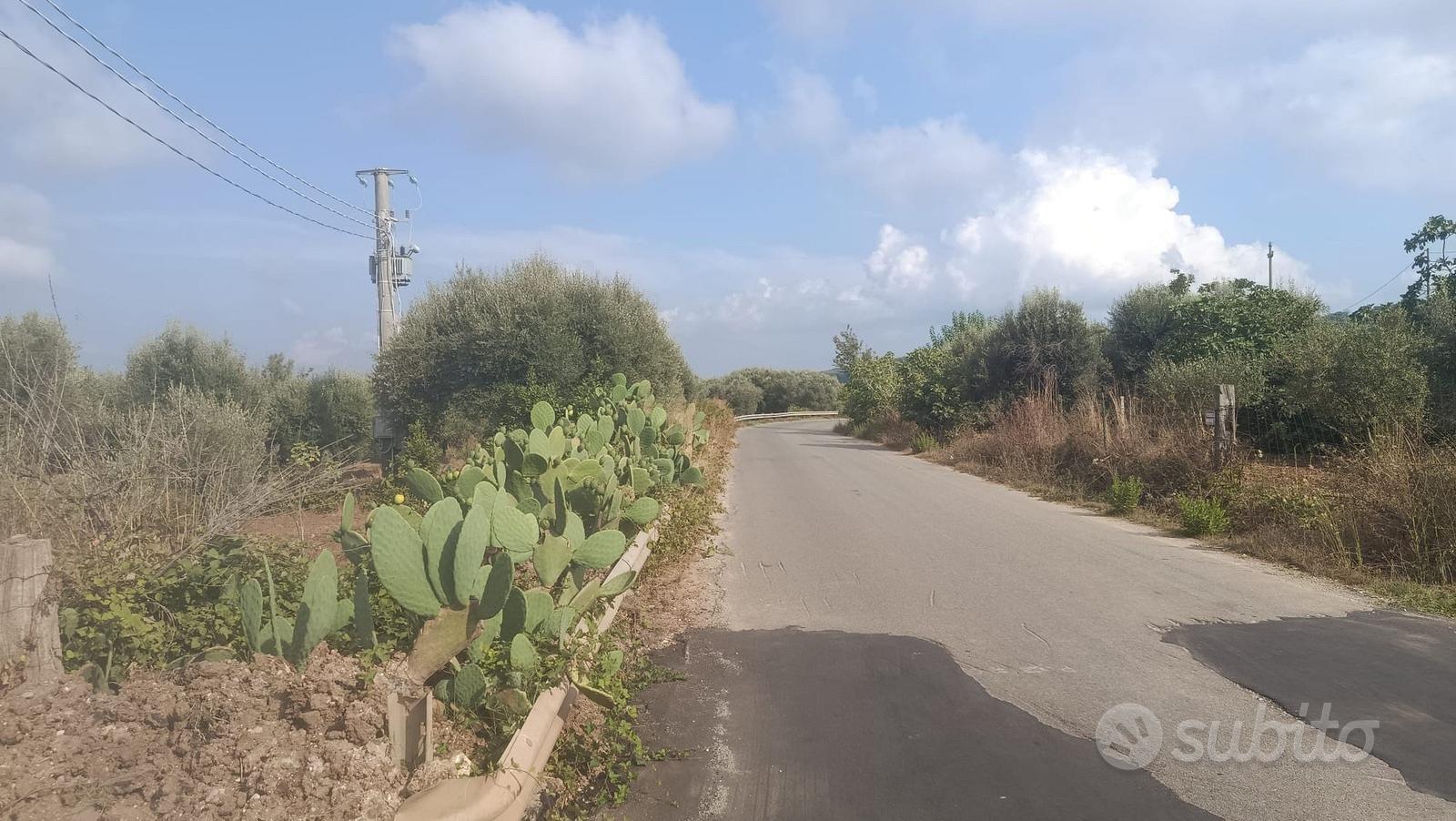 Terreno agricolo - Altro