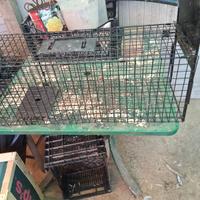 gabbia cattura conigli/animali 