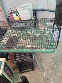 gabbia cattura conigli/animali 