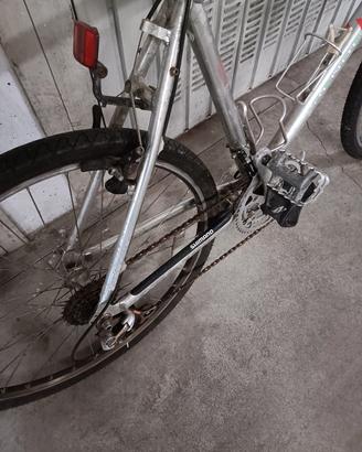 bici da città 