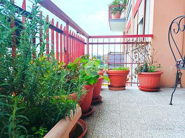 2 LOCALI A ROMA