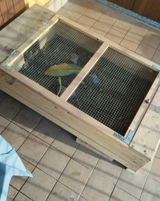 Cassetta in legno x tartarughe o altri animaletti.