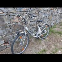 bicicletta pedalata assistita