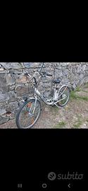 bicicletta pedalata assistita