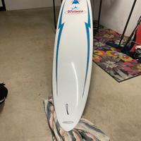 tavola surf longboard