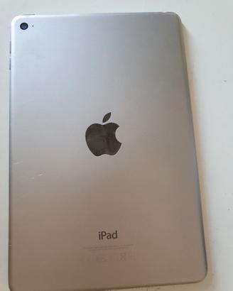 iPad mini