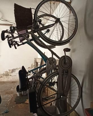 bicicletta da donna Carraro