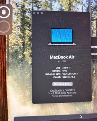 MacBook Air  M1  2020