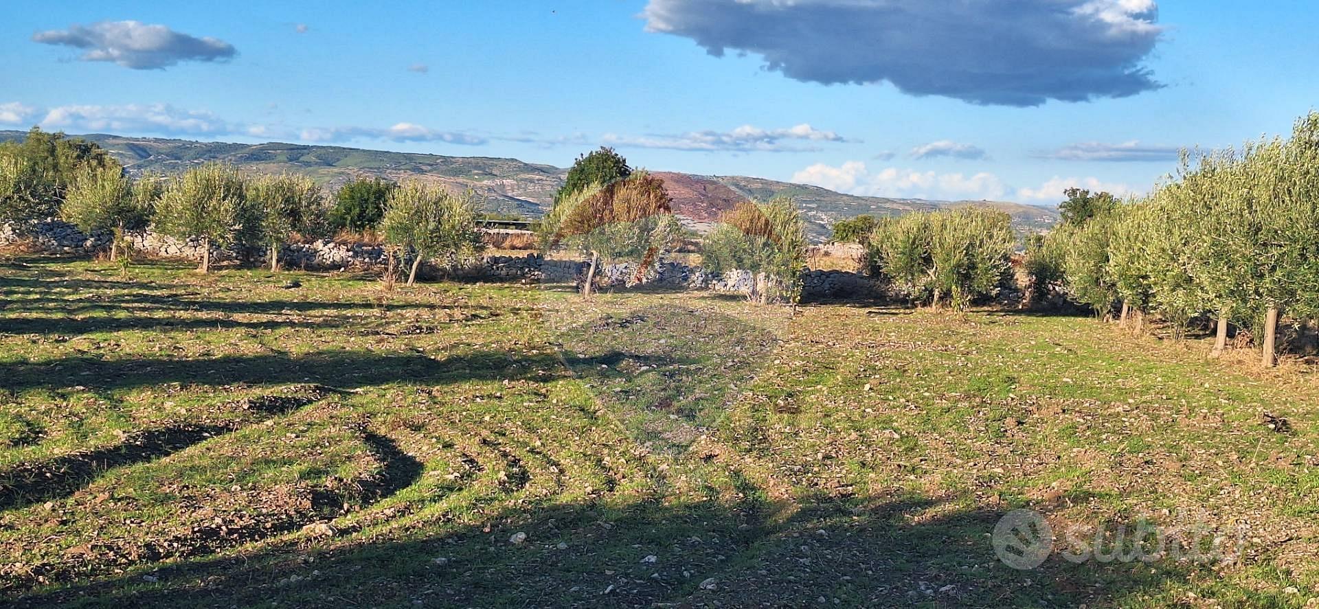 Terreno - Rosolini - Vista 2