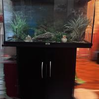 Acquario completo con cassettiera appoggi acquario