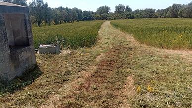 15,5 ettari terreno + pozzo artesiano