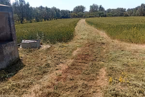 15,5 ettari terreno + pozzo artesiano