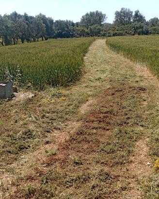 15,5 ettari terreno + pozzo artesiano