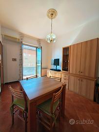 Trilocale a Cremona 
